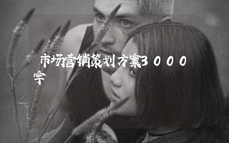 市場(chǎng)營(yíng)銷策劃方案3000字