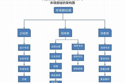 策劃部門主要負責什么（公司策劃部門主要負責什么）