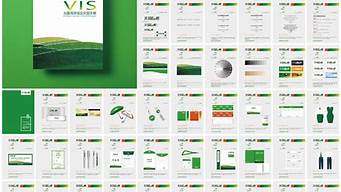 vi設(shè)計手冊完整版案例（vi設(shè)計手冊全套案例）