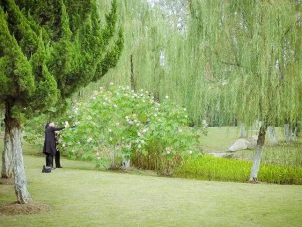 濱湖公園文化景觀設計（濱湖公園文化景觀設計方案）