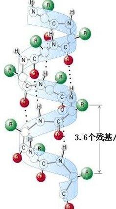 排行榜psd（排行榜奧運會）