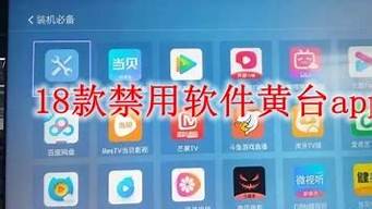 十八款禁用的軟件免費綠色（十八款禁用的軟件免費綠色版下載）