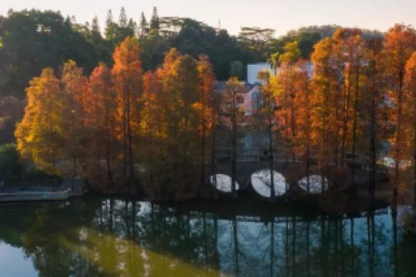 廣州文化主題公園景觀設計（廣州文化主題公園景觀設計方案）